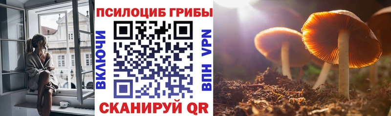 где найти наркотики  Кирс  Галлюциногенные грибы Magic Shrooms 